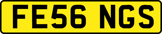 FE56NGS