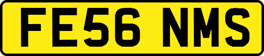 FE56NMS