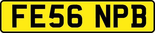 FE56NPB