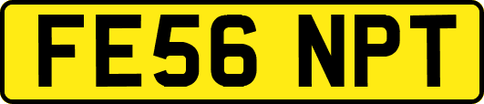 FE56NPT