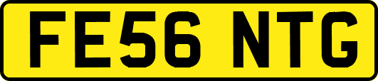 FE56NTG