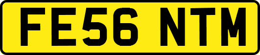 FE56NTM