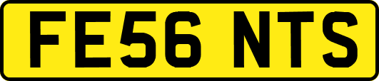 FE56NTS