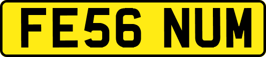 FE56NUM