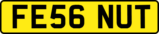 FE56NUT