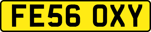 FE56OXY