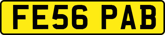 FE56PAB
