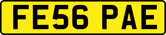 FE56PAE