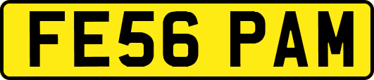 FE56PAM