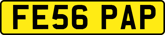 FE56PAP
