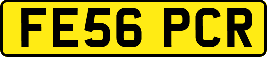 FE56PCR