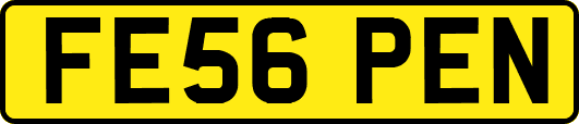 FE56PEN