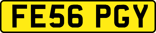 FE56PGY