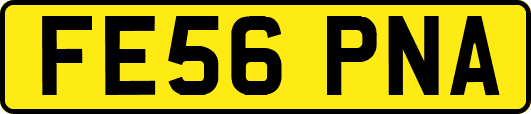 FE56PNA