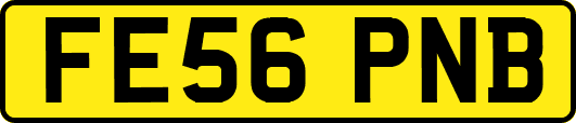 FE56PNB