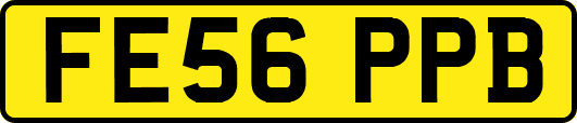 FE56PPB