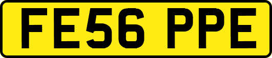 FE56PPE