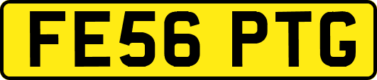 FE56PTG