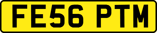FE56PTM
