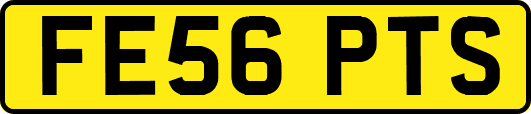 FE56PTS