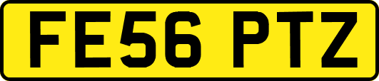 FE56PTZ