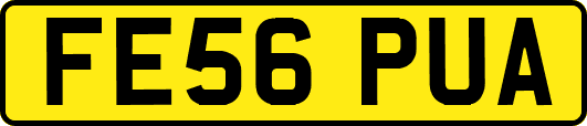 FE56PUA