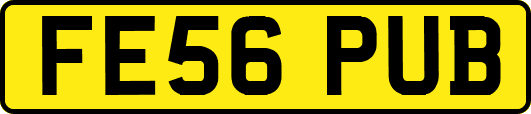 FE56PUB