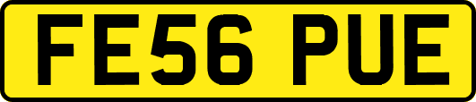 FE56PUE