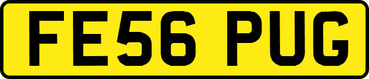 FE56PUG