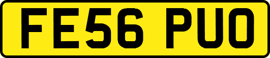 FE56PUO