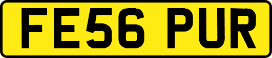 FE56PUR