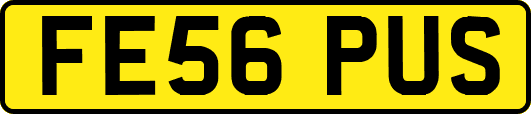 FE56PUS