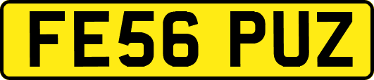 FE56PUZ
