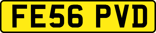 FE56PVD