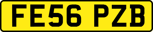 FE56PZB