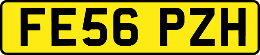 FE56PZH