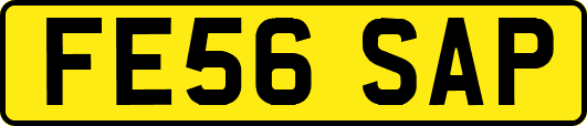 FE56SAP