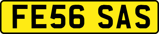FE56SAS