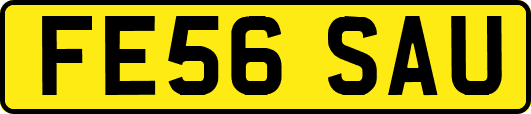 FE56SAU