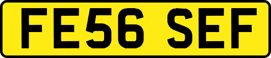 FE56SEF