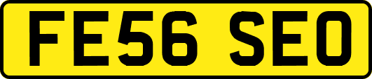 FE56SEO