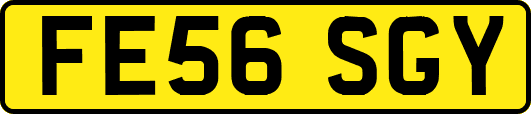 FE56SGY