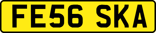FE56SKA