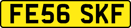 FE56SKF