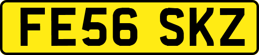 FE56SKZ