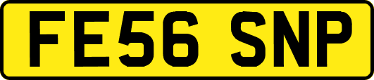 FE56SNP