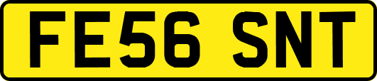 FE56SNT