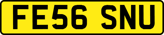 FE56SNU