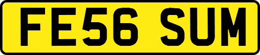 FE56SUM