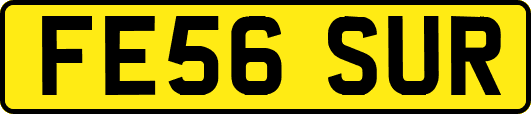 FE56SUR